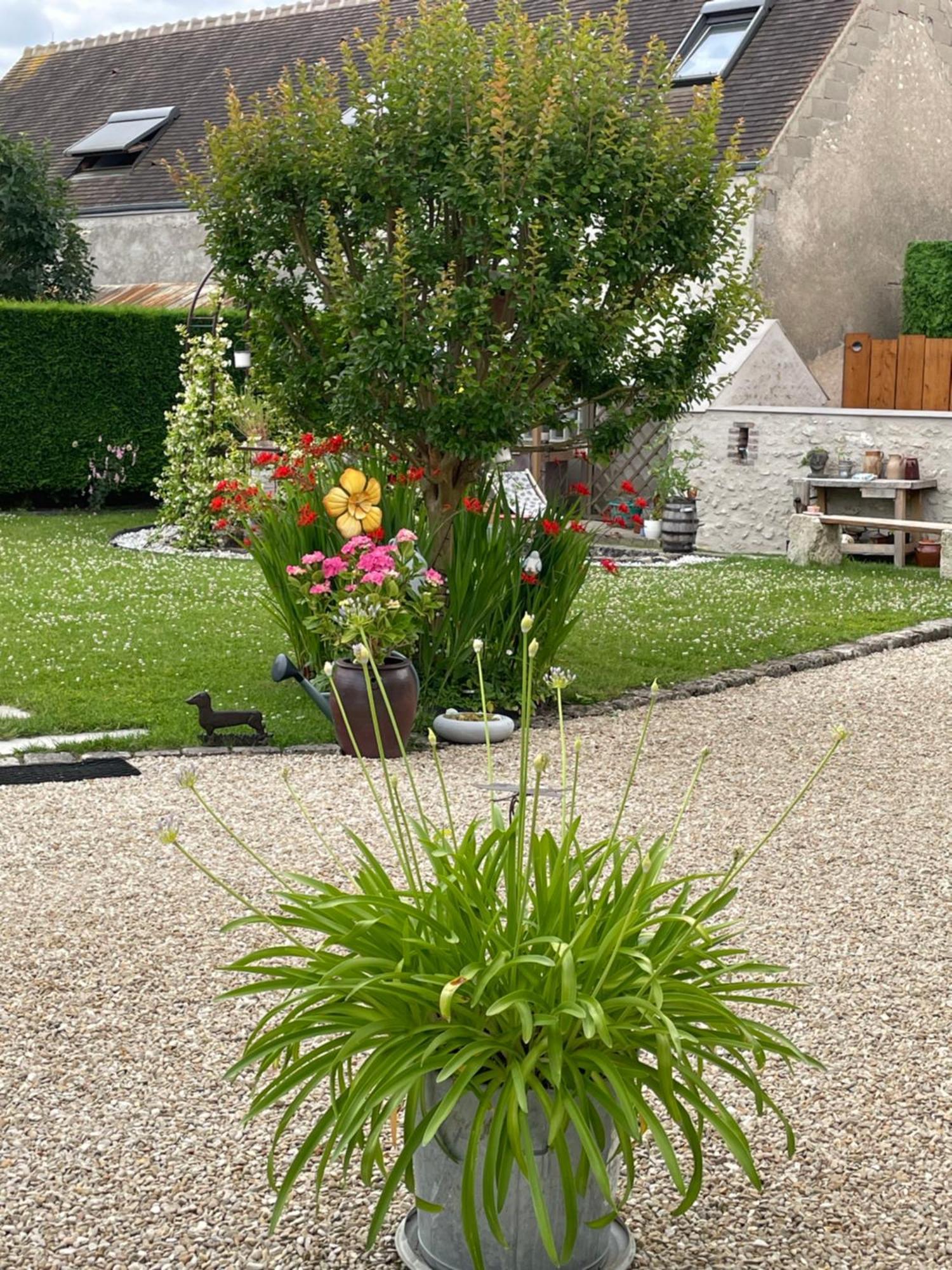 Le Clos Du Q'Hatre Cléry-Saint-André Esterno foto